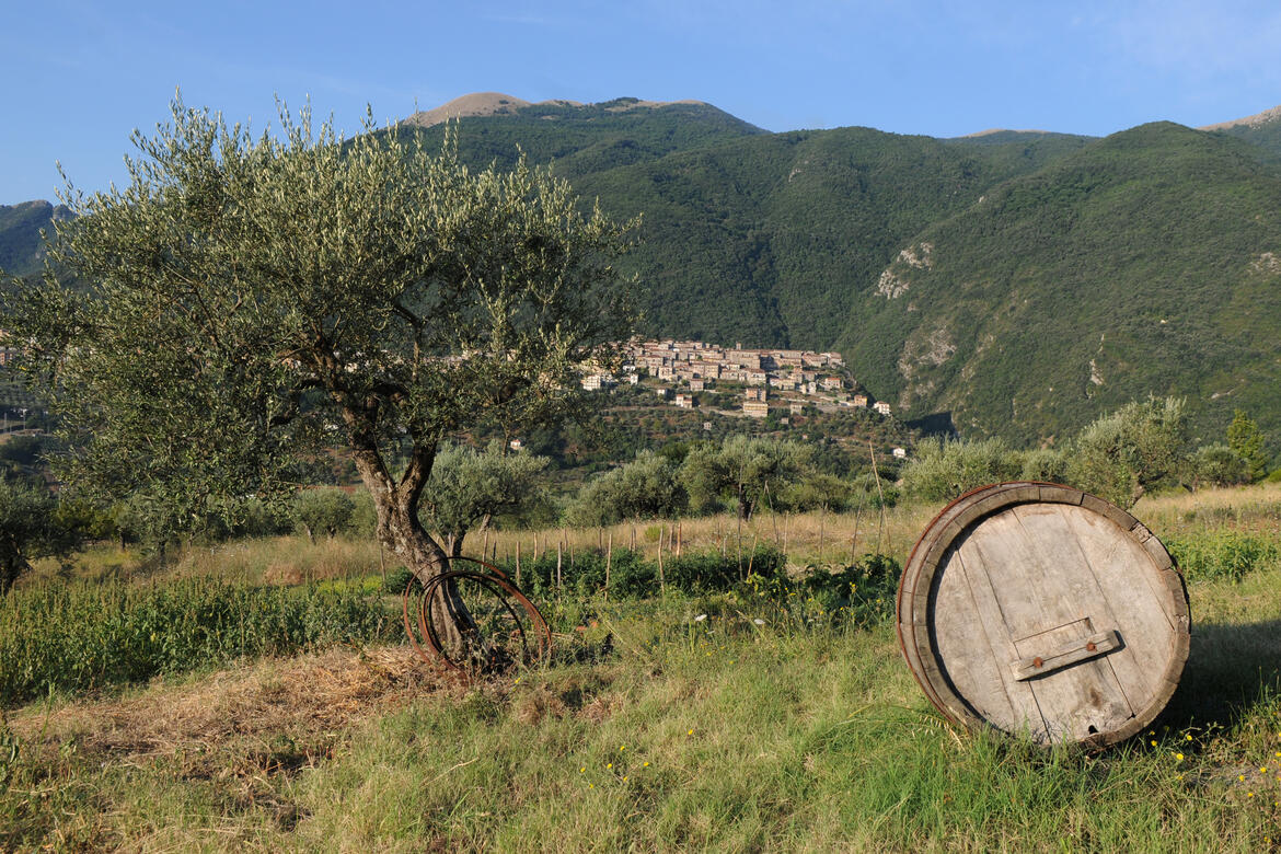 Panorama Felitto natura
